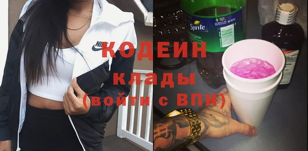 индика Козельск