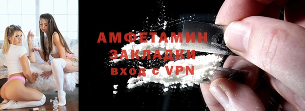 индика Козельск