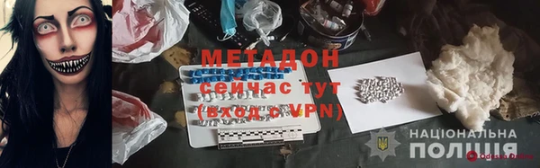 индика Козельск