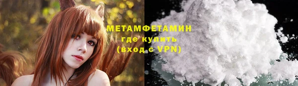 индика Козельск