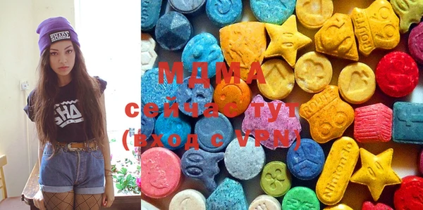 индика Козельск