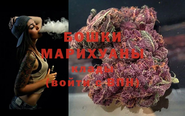 индика Козельск