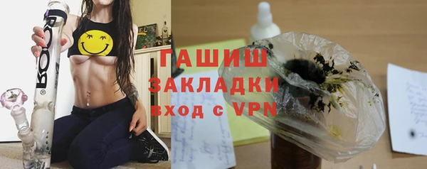 индика Козельск