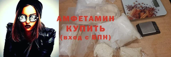 индика Козельск