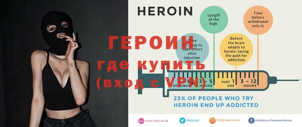 индика Козельск