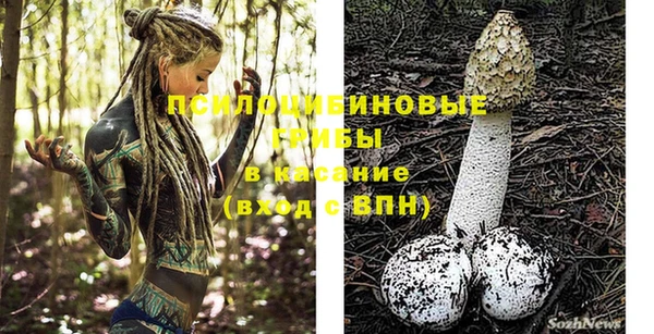 индика Козельск