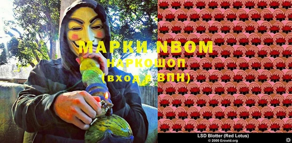 индика Козельск