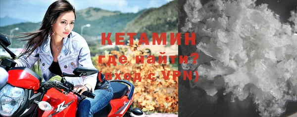индика Козельск