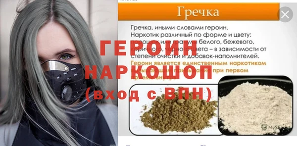 индика Козельск