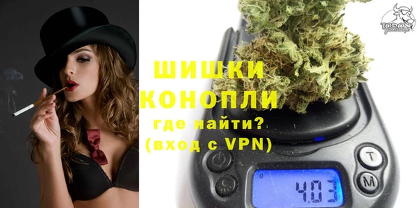 мдпв Кодинск