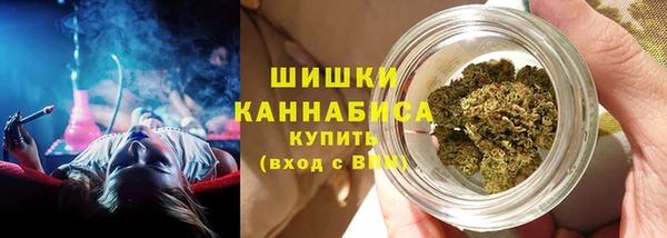 мдпв Кодинск