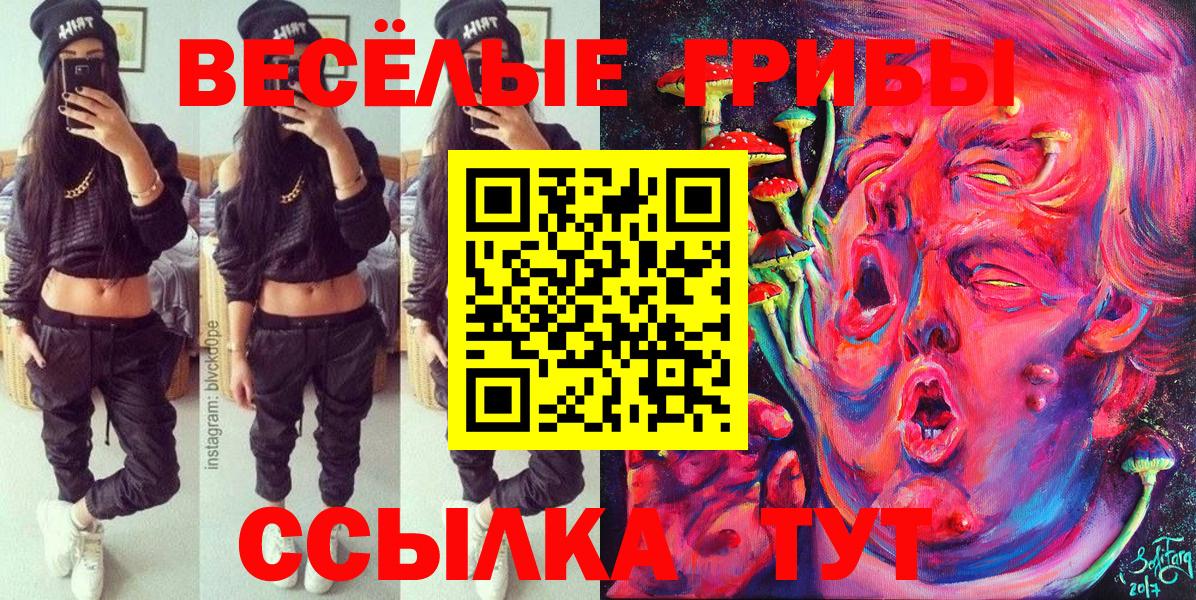 Псилоцибиновые грибы Psilocybine cubensis Краснокамск
