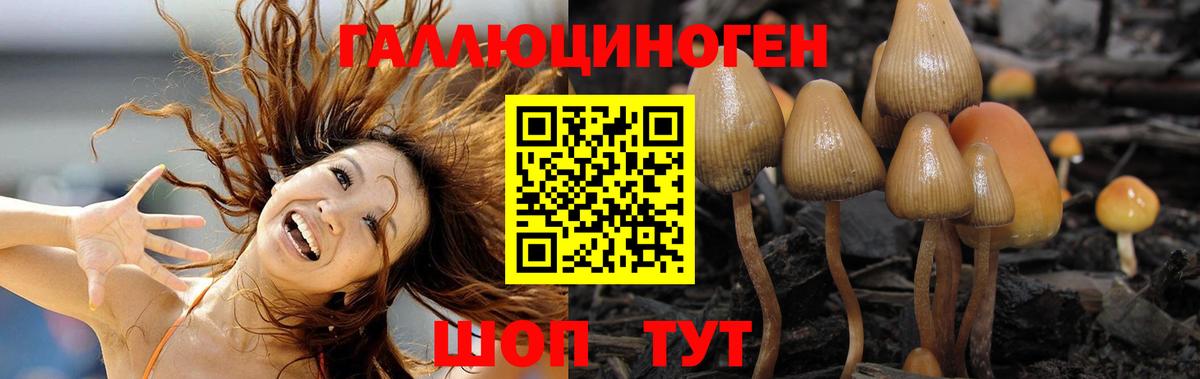 Галлюциногенные грибы GOLDEN TEACHER  Вход с VPN  Краснокамск 